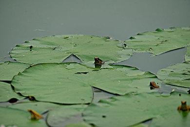 肉鸽游戏《痛苦之女》Steam页面上线 2028年发售